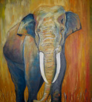 slon (prodato)